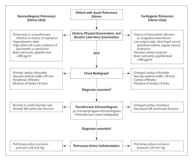 Algorithm for the Clinical Differentiation between Cardiogenic and Noncardiogenic Pulmonary Edema.