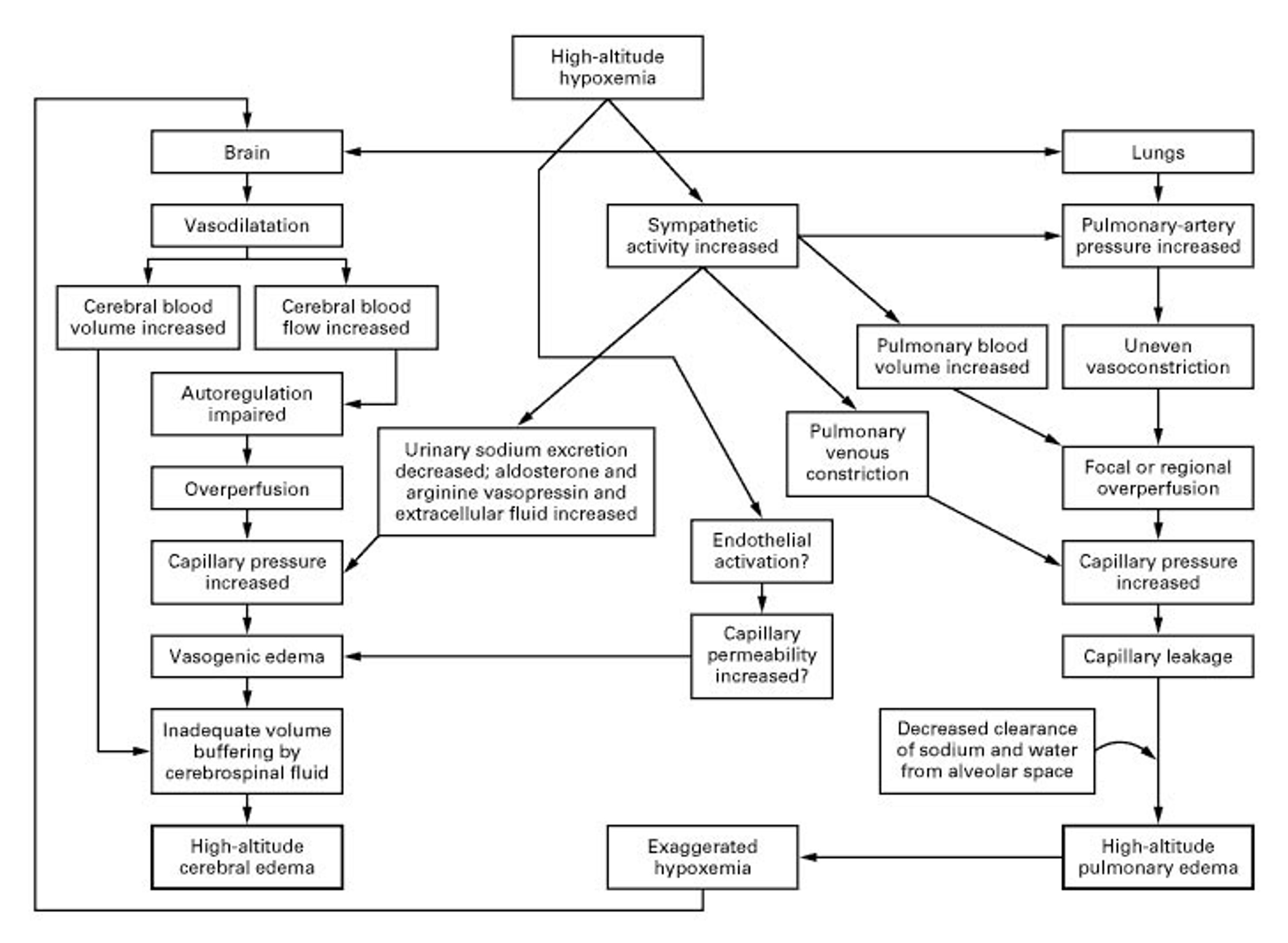 Proposed Pathophysiological Process of High-Altitude Illness.