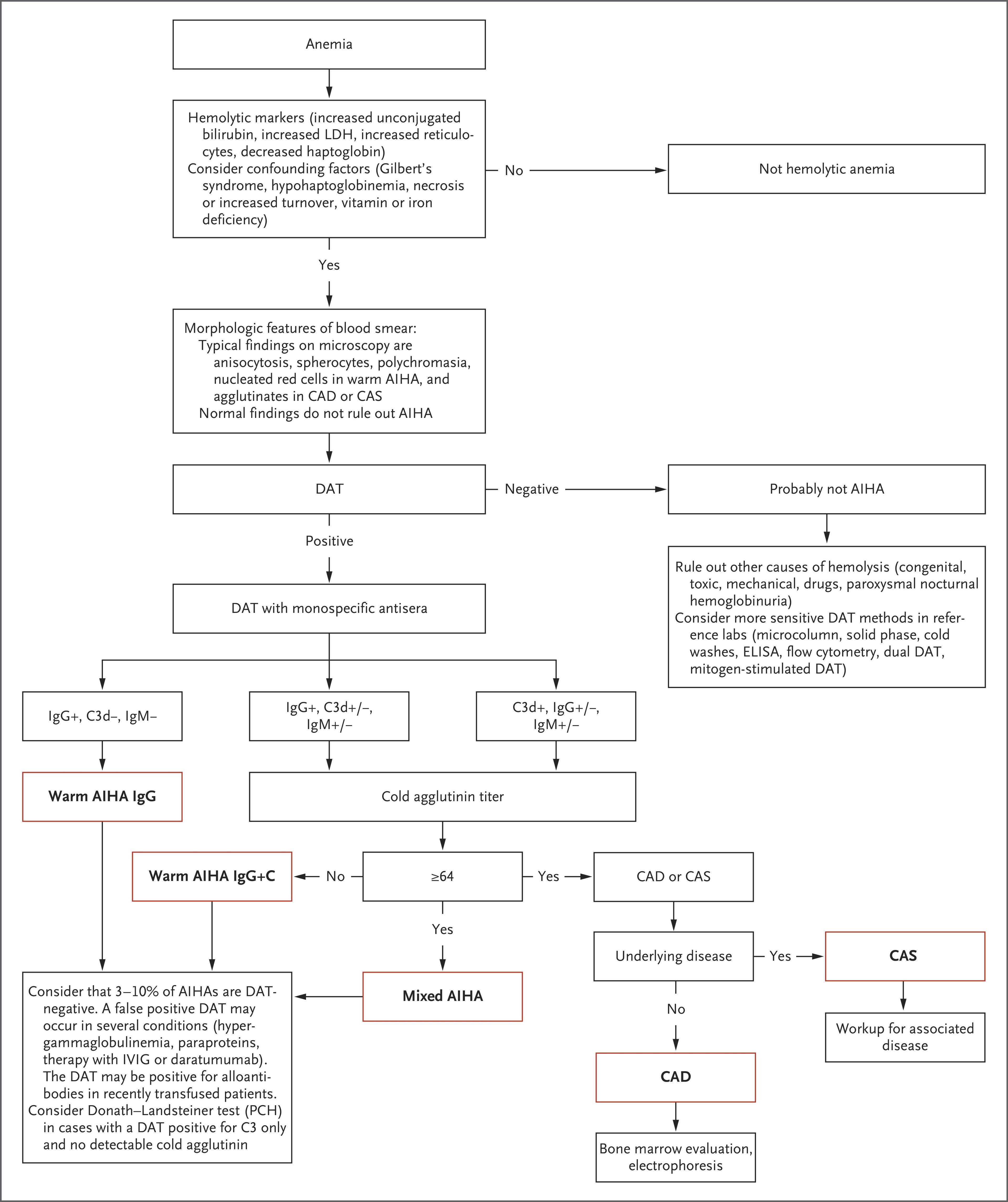 Algorithm for a Diagnostic Workup of Autoimmune Hemolytic Anemia (AIHA).