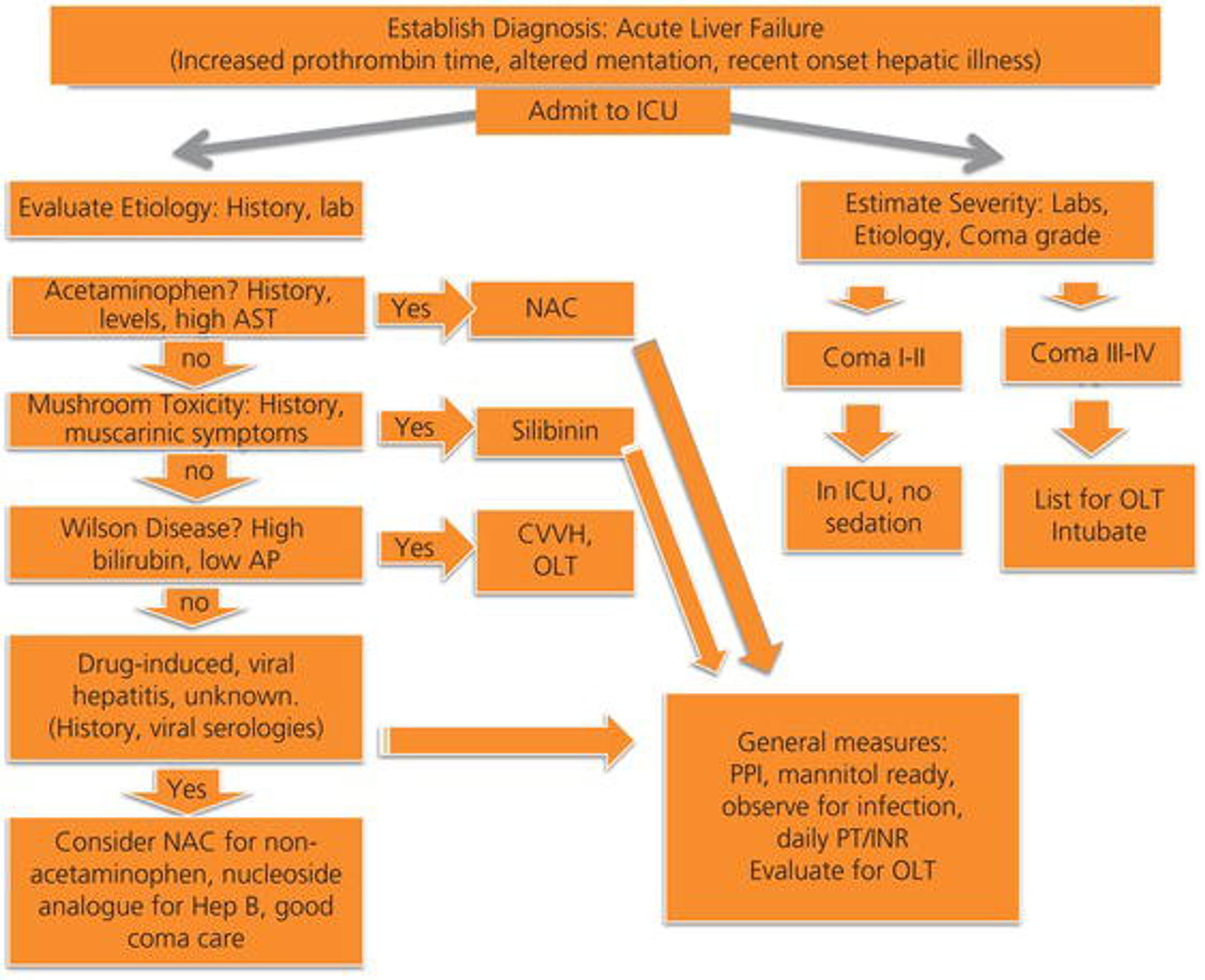 Approach to evaluation of the acute liver failure patient. It is important to identify the patient as having an acute illness with encephalopathy and coagulopathy and then to determine etiology and severity. Early consideration of transfer to a transplant center is paramount to ensure the best possible outcome. AP, alkaline phosphatase; AST, aspartate aminotransferase; CVVH, continuous venovenous hemodialysis; INR, international normalized ratio; NAC, N ‐acetylcysteine; OLT, orthotopic liver transplantation; PPI, proton pump inhibitor; PT, prothrombin time.