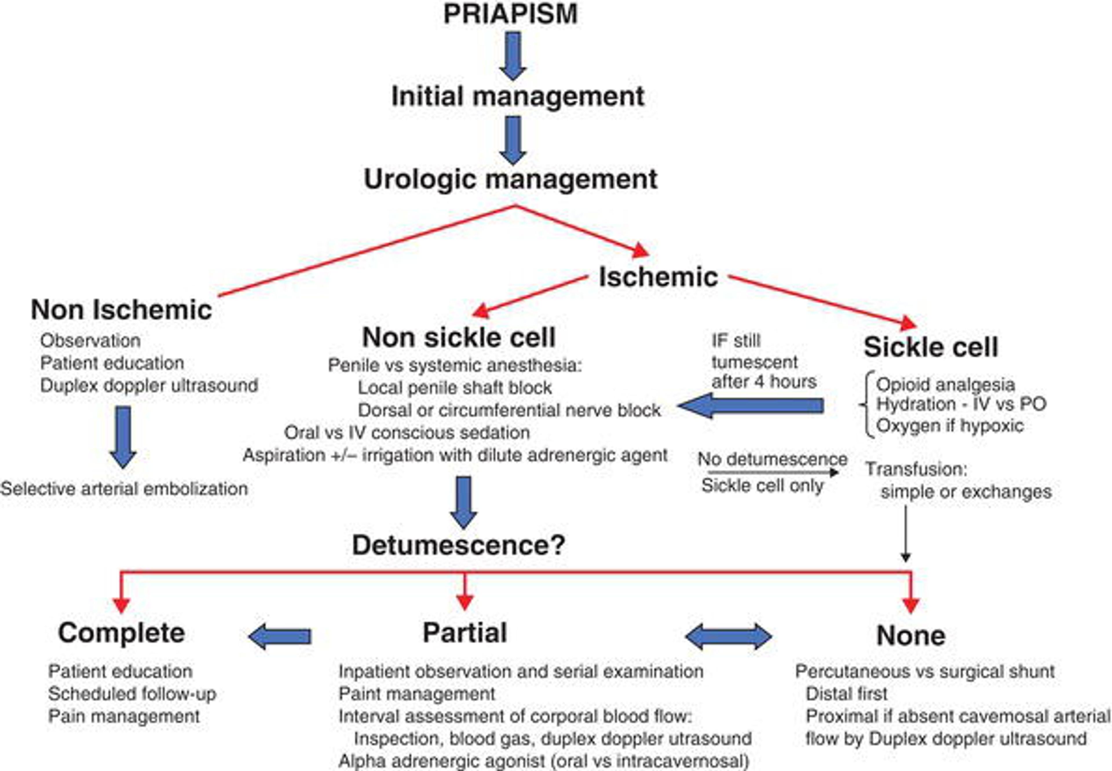 Algorithm for the management of priapism. Adapted from Ref. with permission.