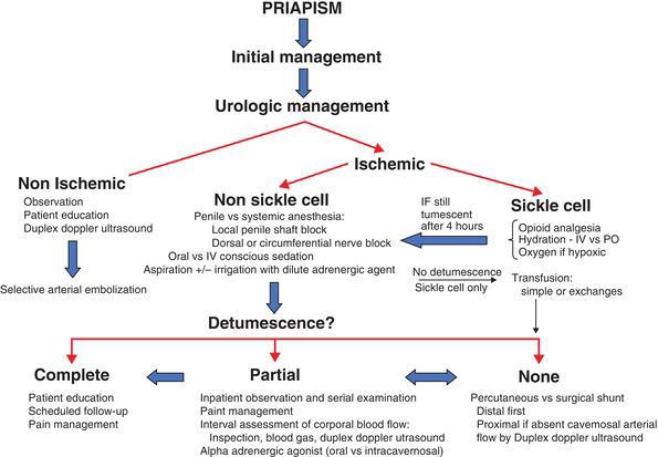 Algorithm for the management of priapism. Adapted from Ref. with permission.