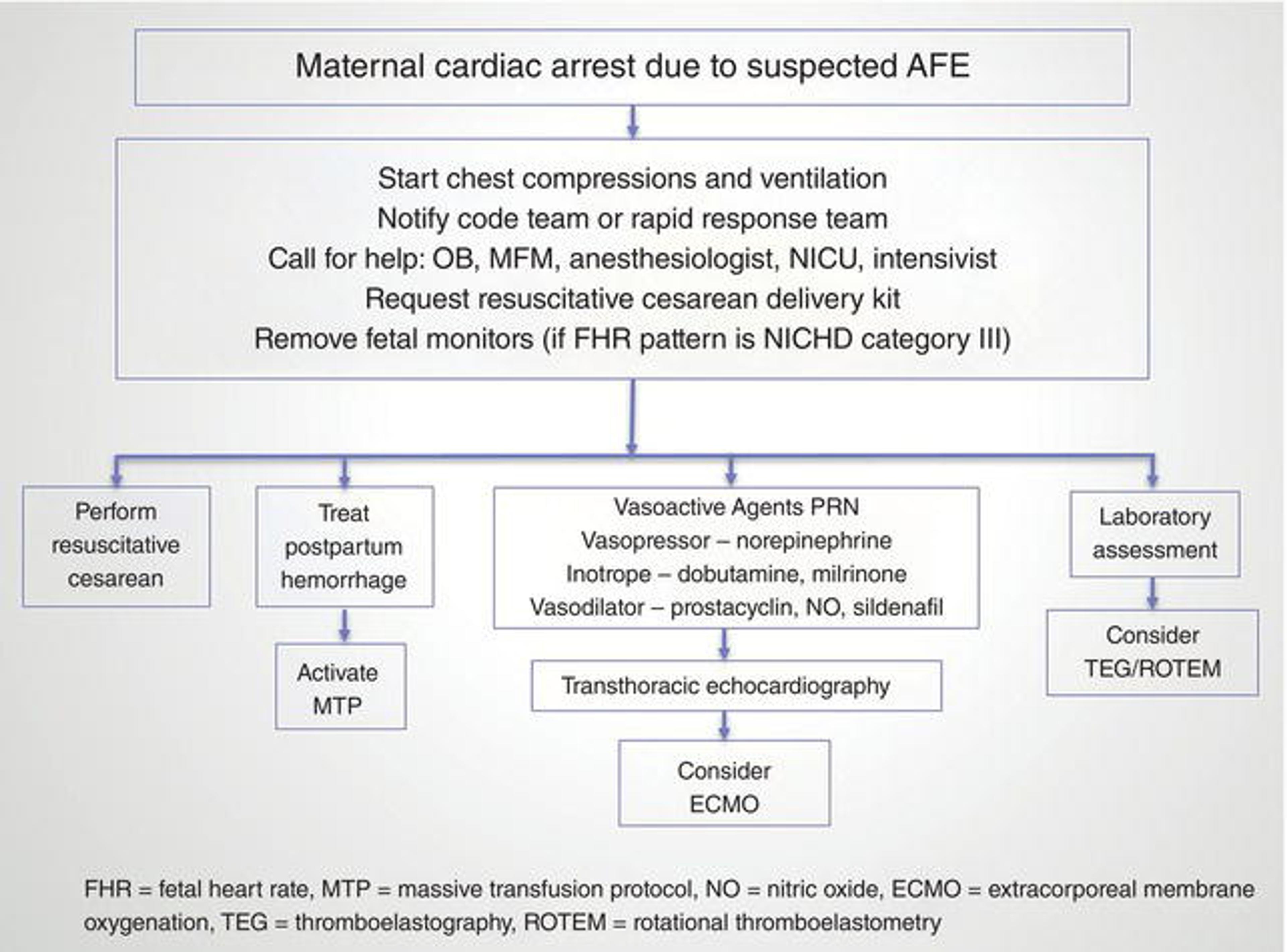 A proposed simplified approach to managing AFE. The sequence of treatment will vary according to individual case events and available resources. FHR: fetal heart rate; MTP: massive transfusion protocol; NO: nitric acid; ECMO: extracorporeal membrane oxygenation; TEG: thromboelastography; ROTEM: rotational thromboelastometry.