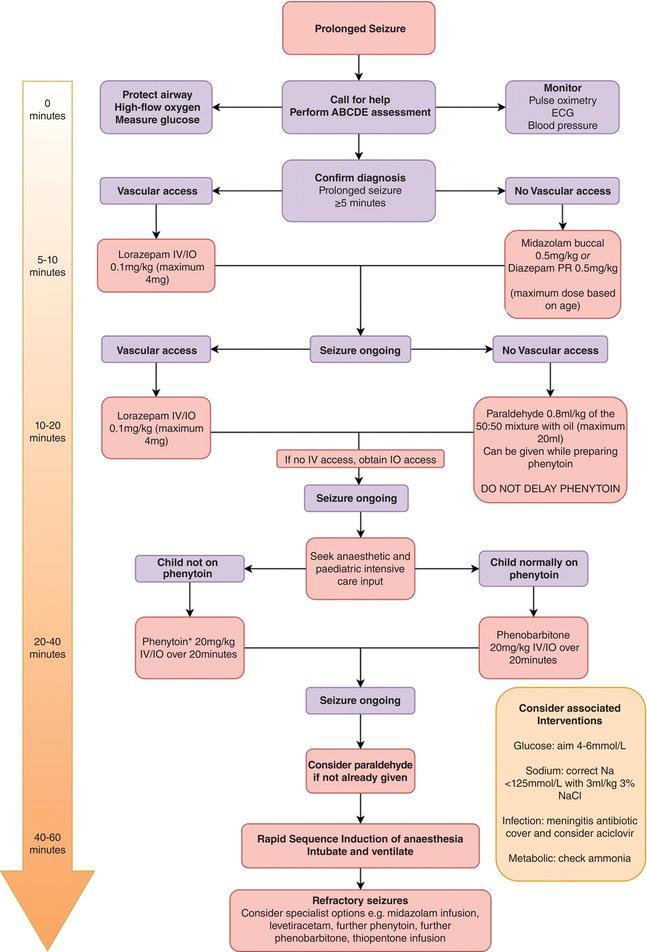 Algorithm for the approach to the management of prolonged seizures and status epilepticus.