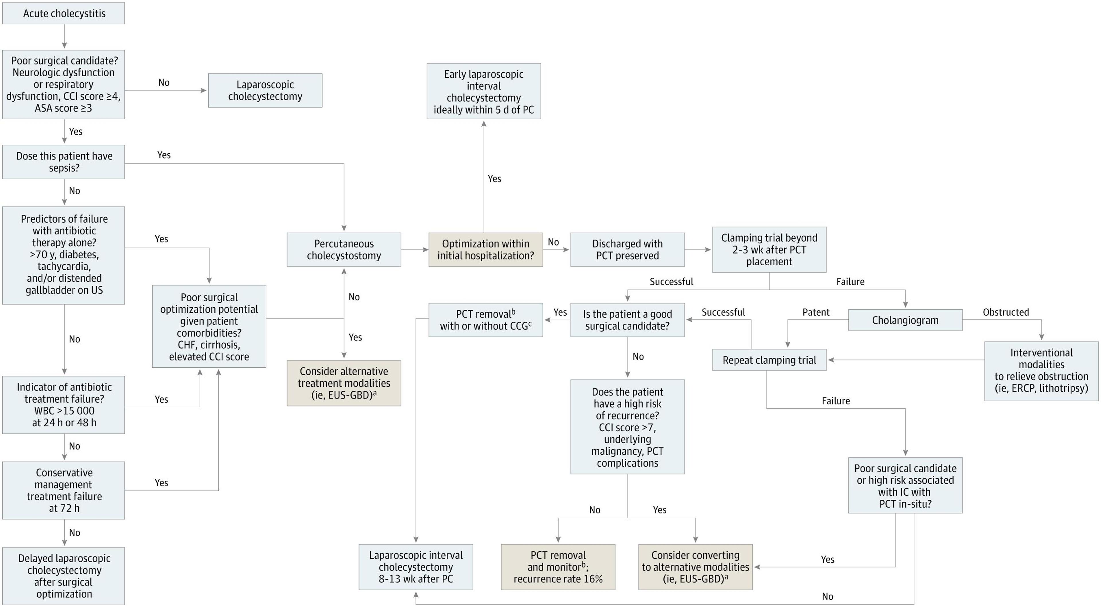 Proposed Algorithm of Indication for and Management of Percutaneous Cholecystostomy