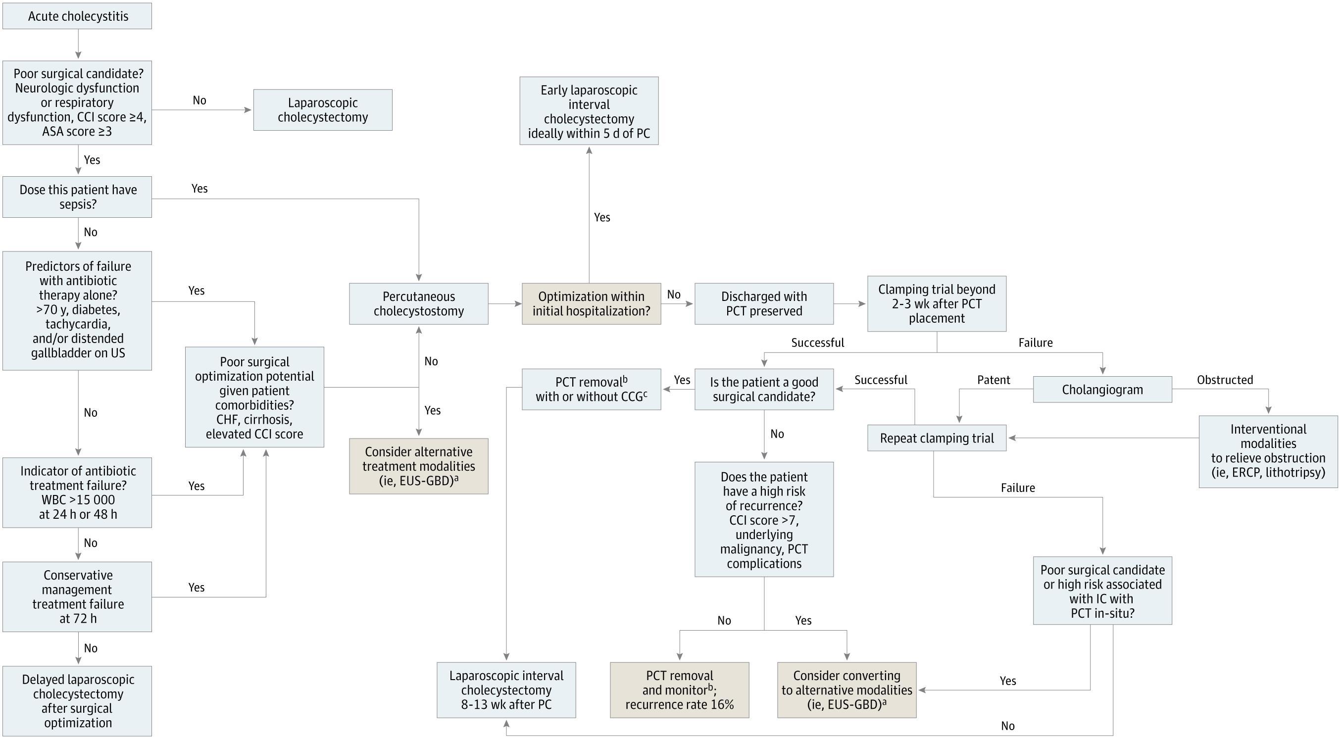 Proposed Algorithm of Indication for and Management of Percutaneous Cholecystostomy
