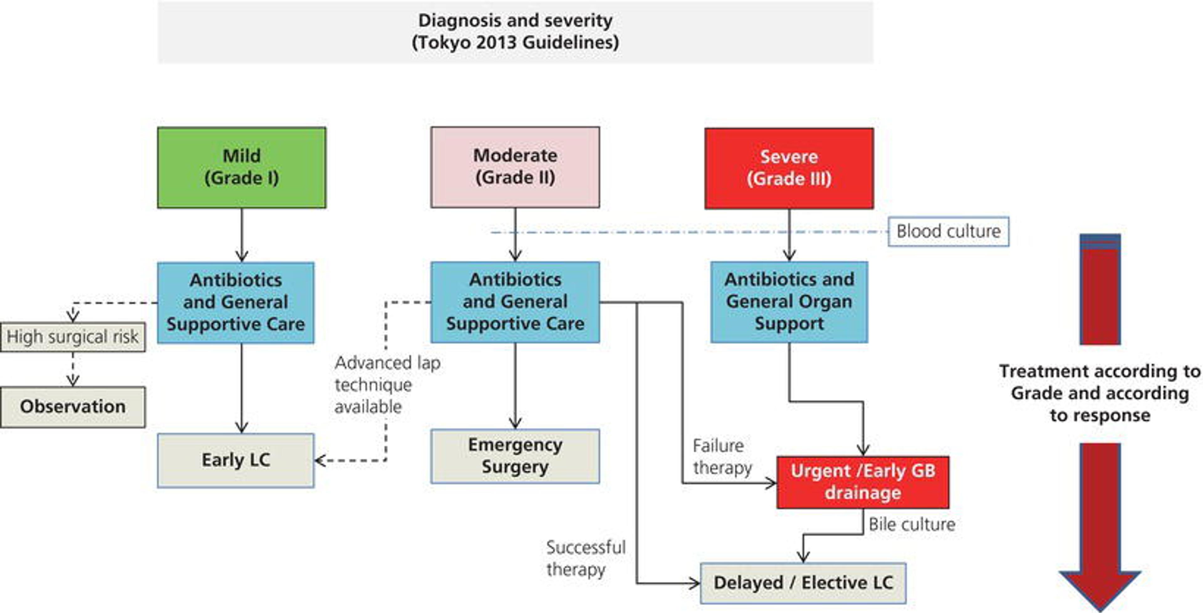 Management of acute cholecystitis. GB, gallbladder; Lap, laparoscopic; LC, laparoscopic cholecystectomy. Source: Miura et al. 2013 [321]. Reproduced with permission of the Journal of Hepato‐Biliary‐Pancreatic Sciences.