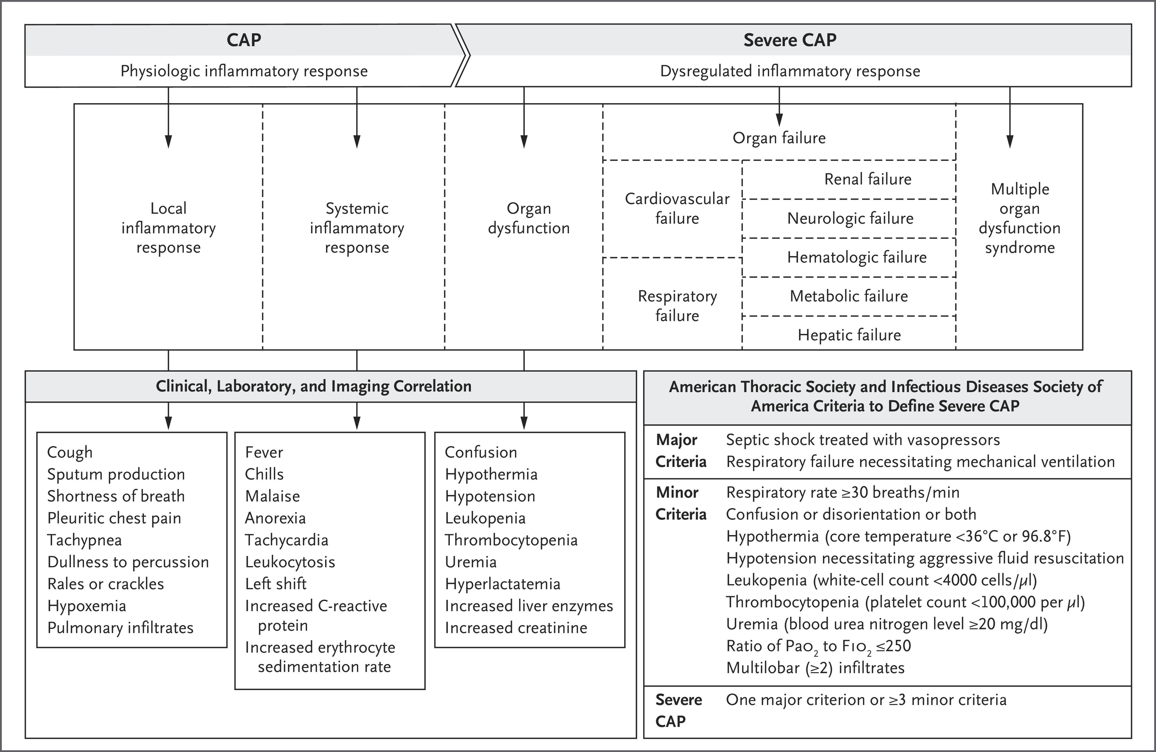 Figure 2. Pathogenesis of Community-Acquired Pneumonia (CAP) with Corresponding Clinical, Laboratory, and Imaging Abnormalities.