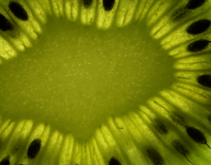 Kiwi — Advertising & Animation