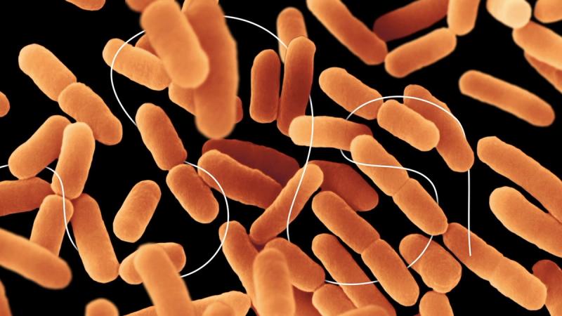 Dental Floss — Advertising & Animation