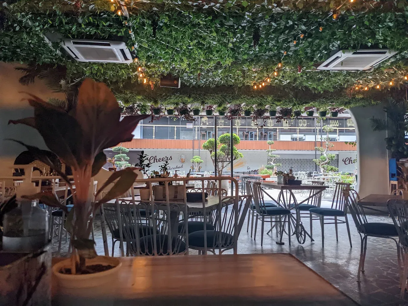 C-53 - Gallery Image 13