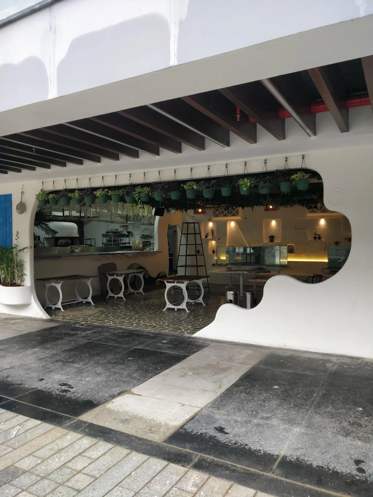 C-53 - Gallery Image 10