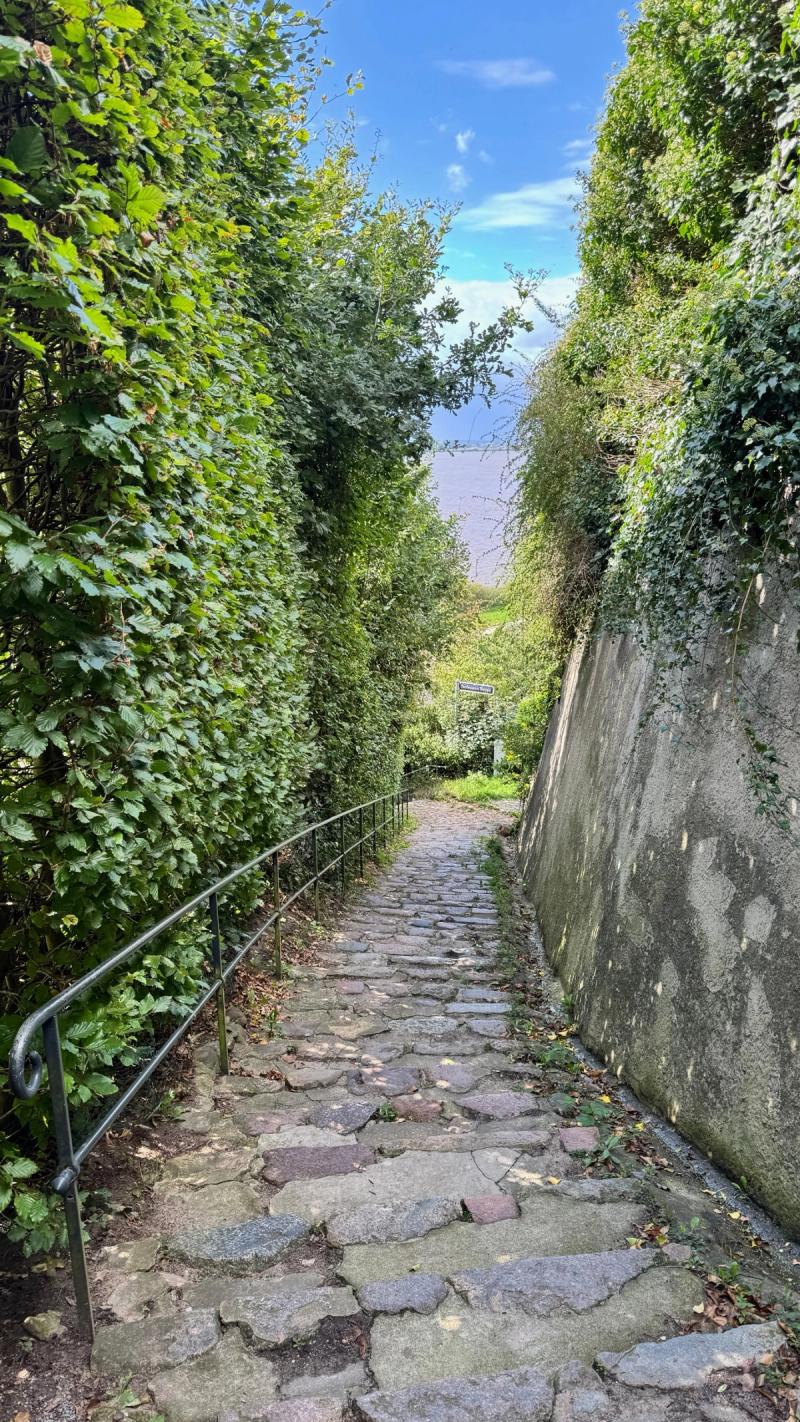 Schmaler Treppenweg zwischen Hecken und Mauer in Blankenese, im Hintergrund die Elbe