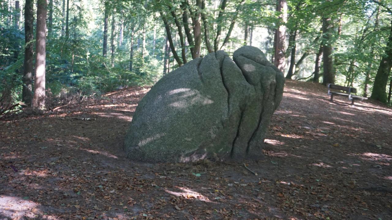 Der Karlstein, ein großer Findling im Buchenwald der Schwarzen Berge