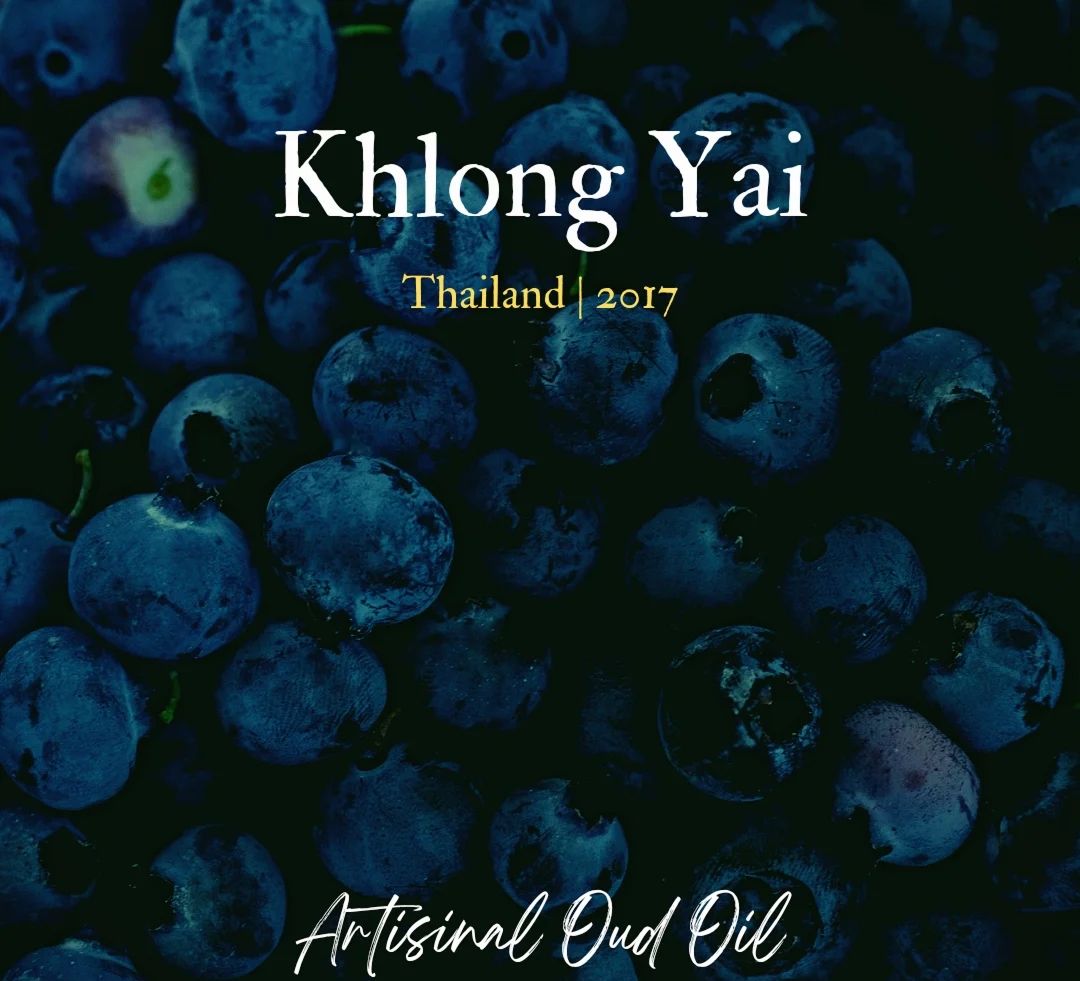 An Najwa with Khlong Yai Oud Oil– exhibitor at Polaris Olfactive Week
