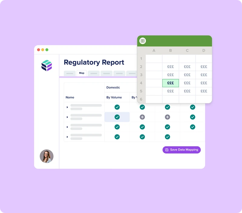 reg report agent