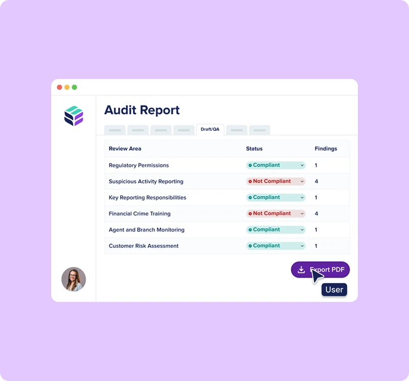 reg audit agent
