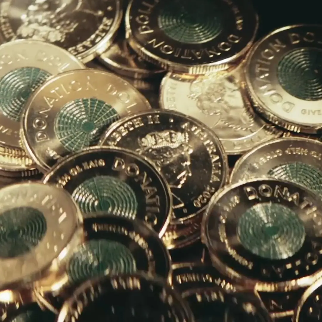 Donation Dollar Coins Grid image item