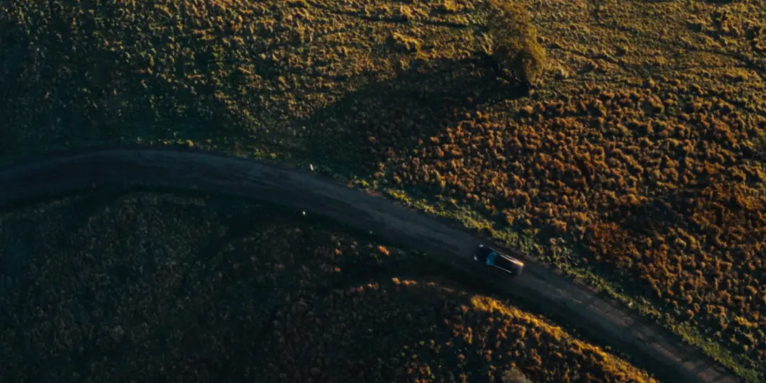 null Grid image item