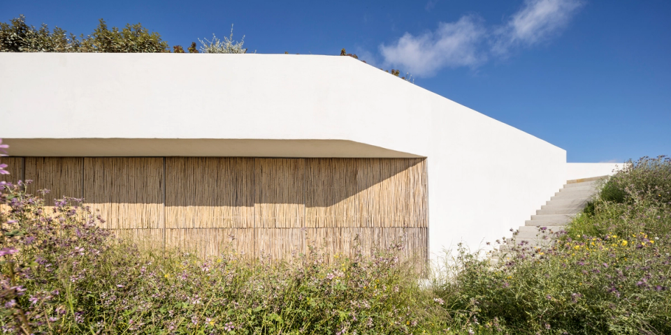 Main entrance of a detached house with contemporary lines, minimalist volumes and natural materials that bring sobriety and elegance to the architectural composition. The combination of white render, wooden carpentry and vertical openings creates a balanced façade integrated with the surroundings and designed to enhance natural light and privacy.