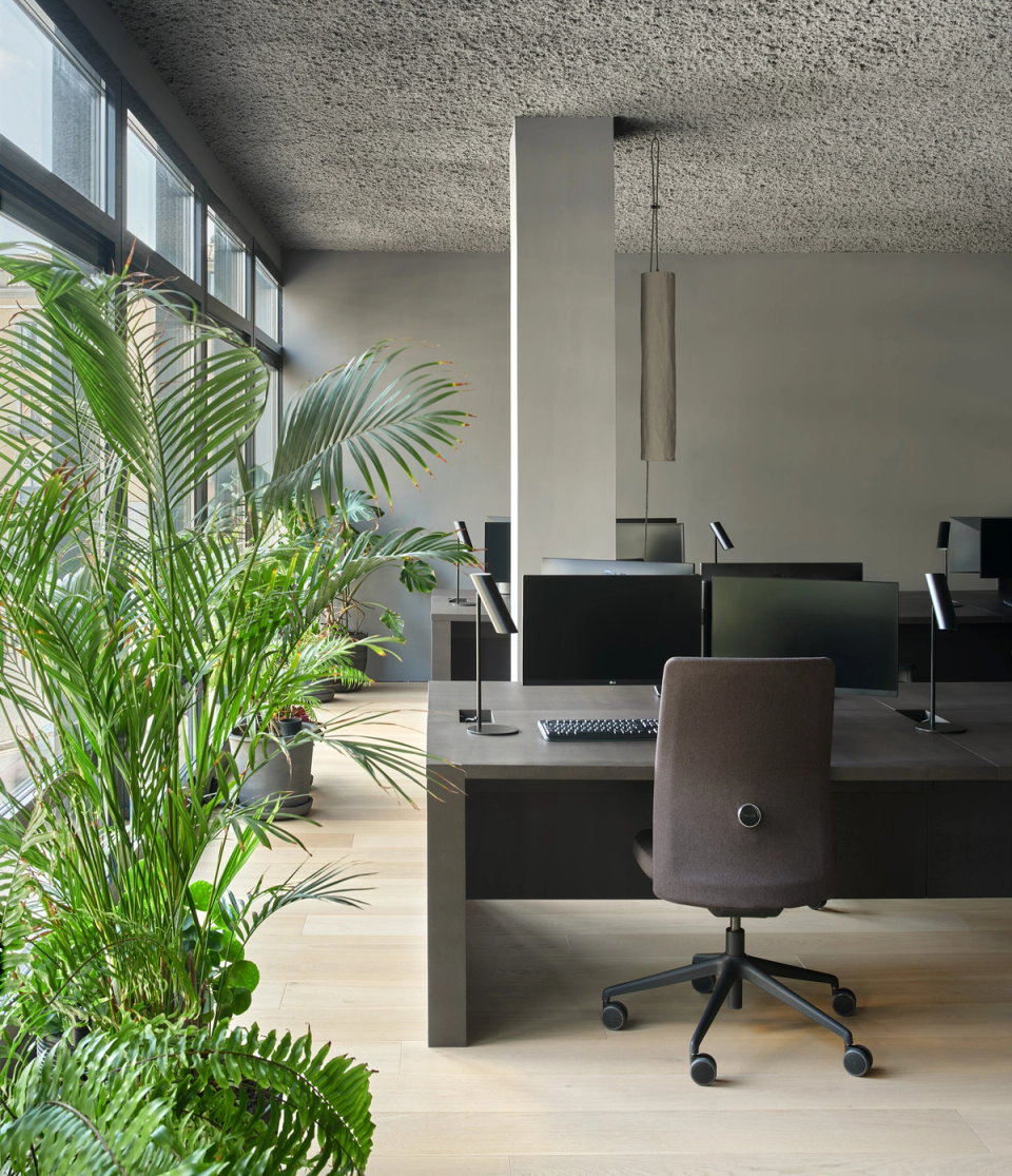 Reform of studio with open work areas illuminated by large windows that strengthen the connection with the outdoors. This studio renovation integrates indoor vegetation, dark materials and a functional layout to create a contemporary, healthy and comfortable environment.