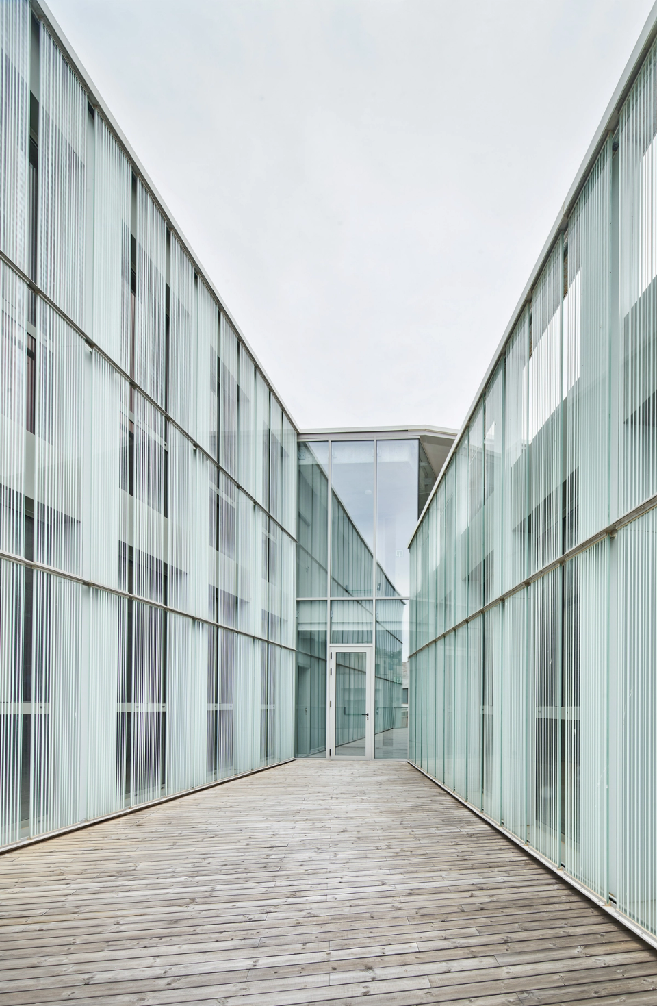 Exterior walkway of a contemporary cultural center surrounded by translucent glass façades that filter natural light and create a light and elegant atmosphere. The linear and symmetrical structure enhances the visual depth of the space, while the wooden flooring provides warmth and contrast with the technical materials of the building. A connecting space designed to encourage circulation, brightness, and interaction between the different volumes of the cultural center.