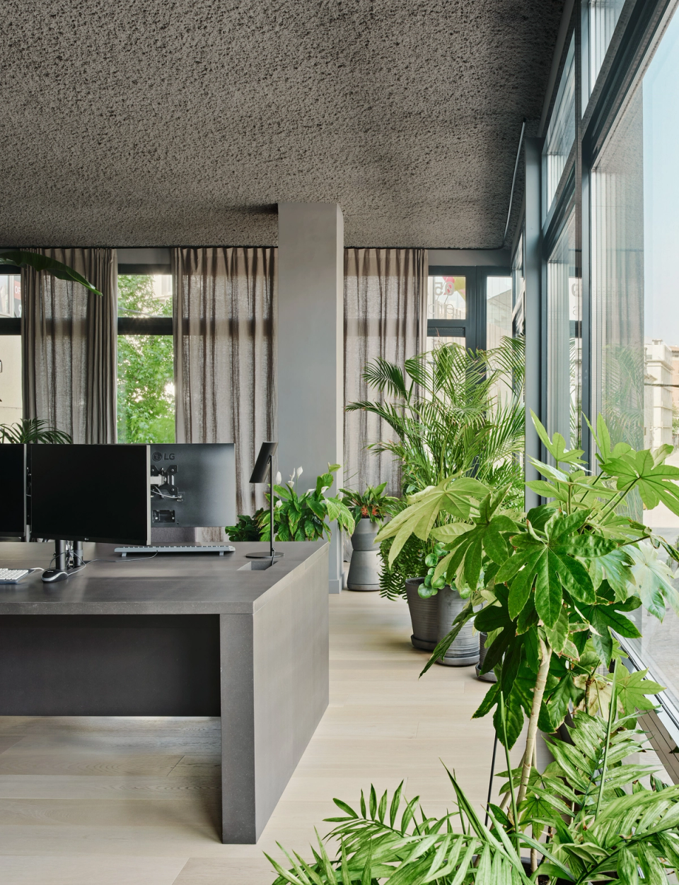 Reform of studio with large openings that connect work areas with natural light and indoor vegetation. This studio renovation combines contemporary materials, minimalist furniture and natural plants to create a healthy, elegant and comfortable environment.