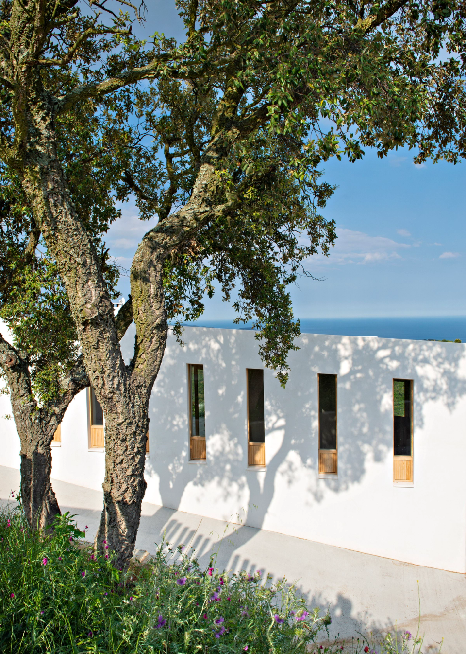 Exterior of a contemporary detached house with clean volumes and white finishes contrasting with the Mediterranean vegetation and natural surroundings. The architecture integrates softly into the terrain through landscaped outdoor spaces, wide open views and a fluid relationship between the house, swimming pool and nature.