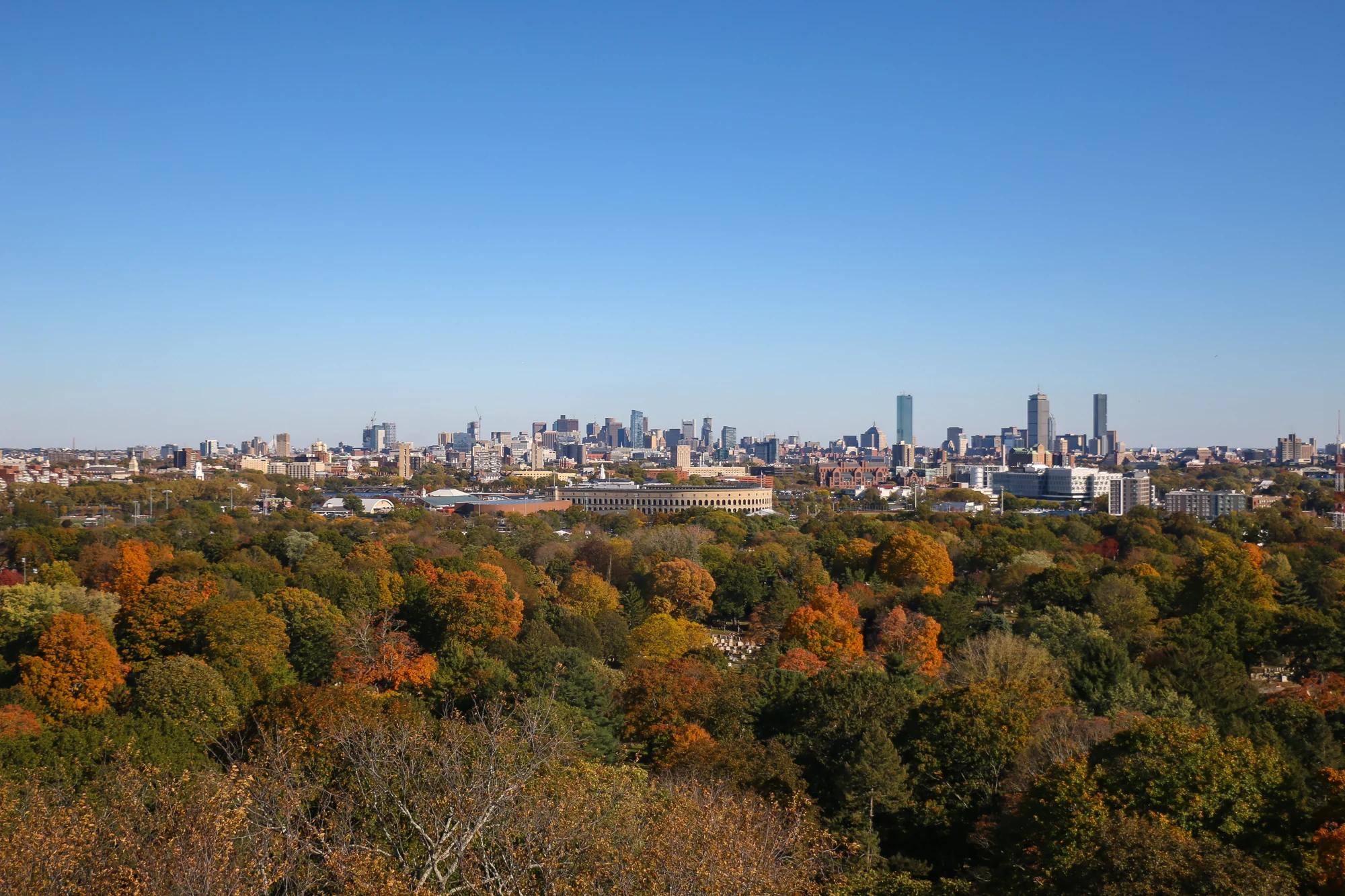 Orange, yellow and green trees below the Boston skyline under a blue sky.