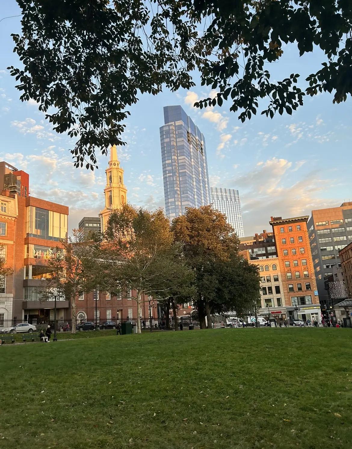 Boston Common at sunset with trees, paths and the city skyline