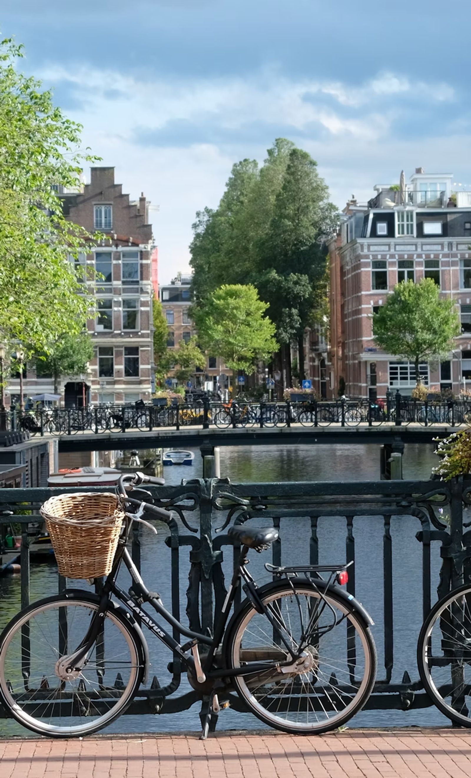 Psychologiepraktijk Roos - GZ-psycholoog praktijk in Amsterdam voor behandeling van depressie, angst en trauma