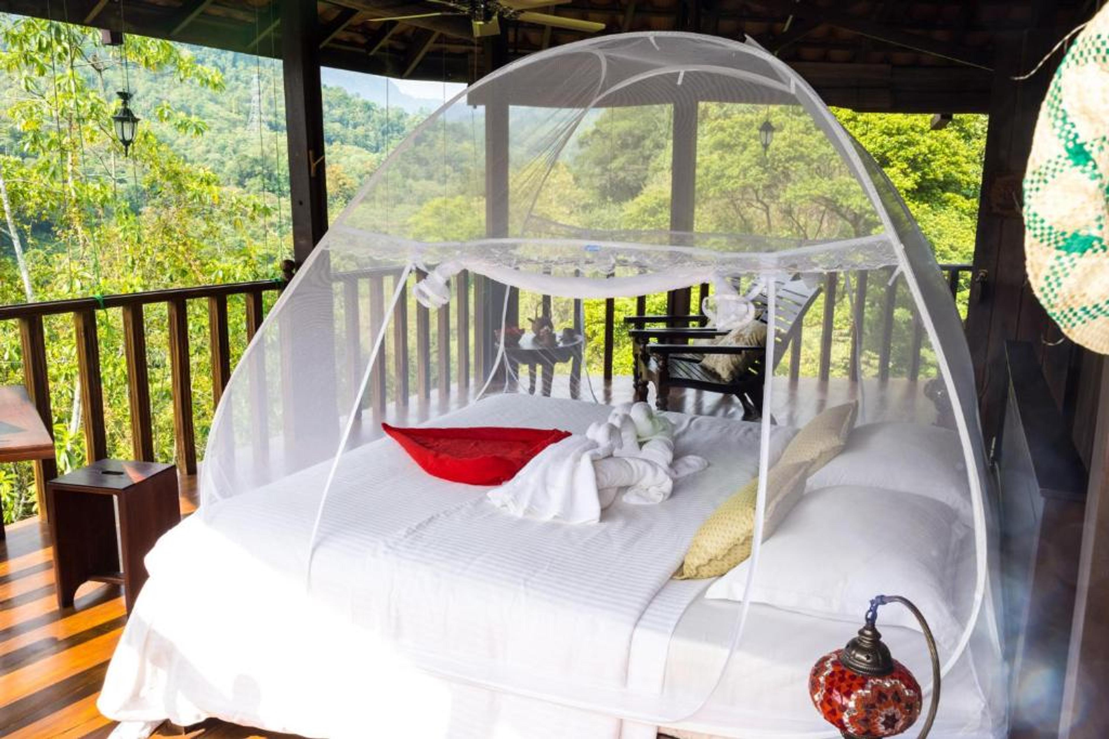 Wanakaset Forest Glamping - Hotels in Kitulgala