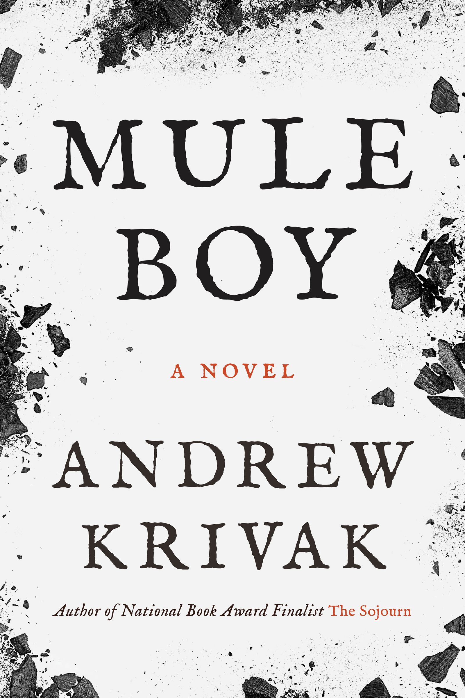 cover image of the book Mule Boy