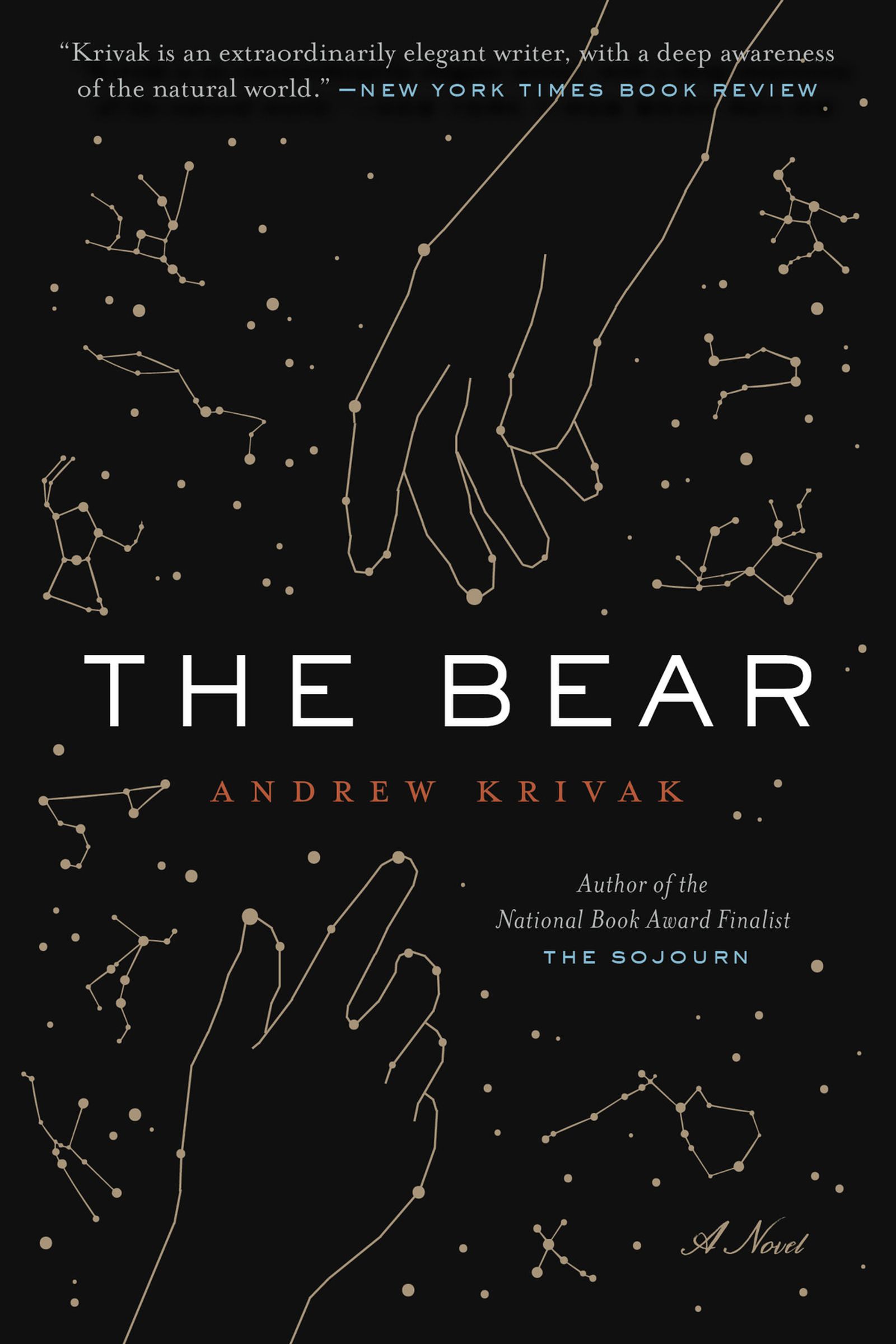 cover image of the book The Bear