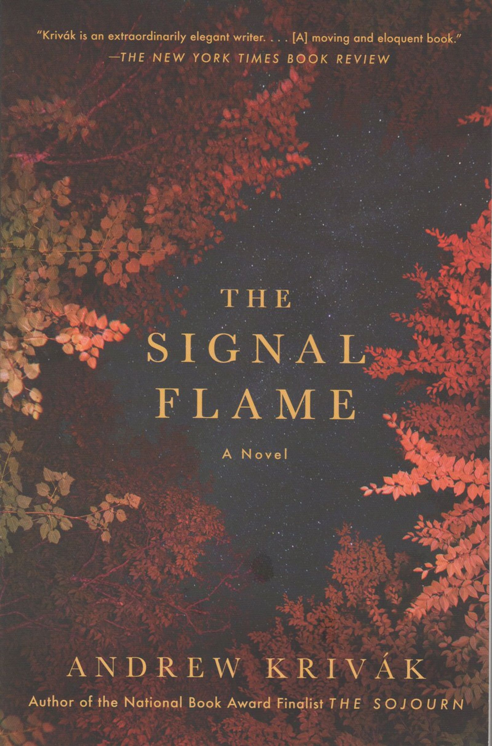 cover image of the book The Signal Flame