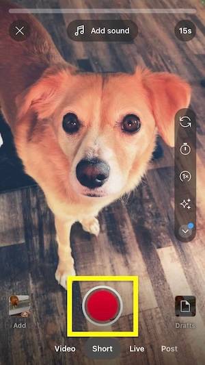 Red record button on YouTube Shorts player