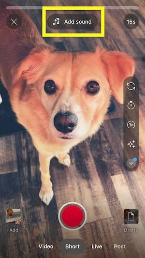 Add sound feature on YouTube Shorts recorder