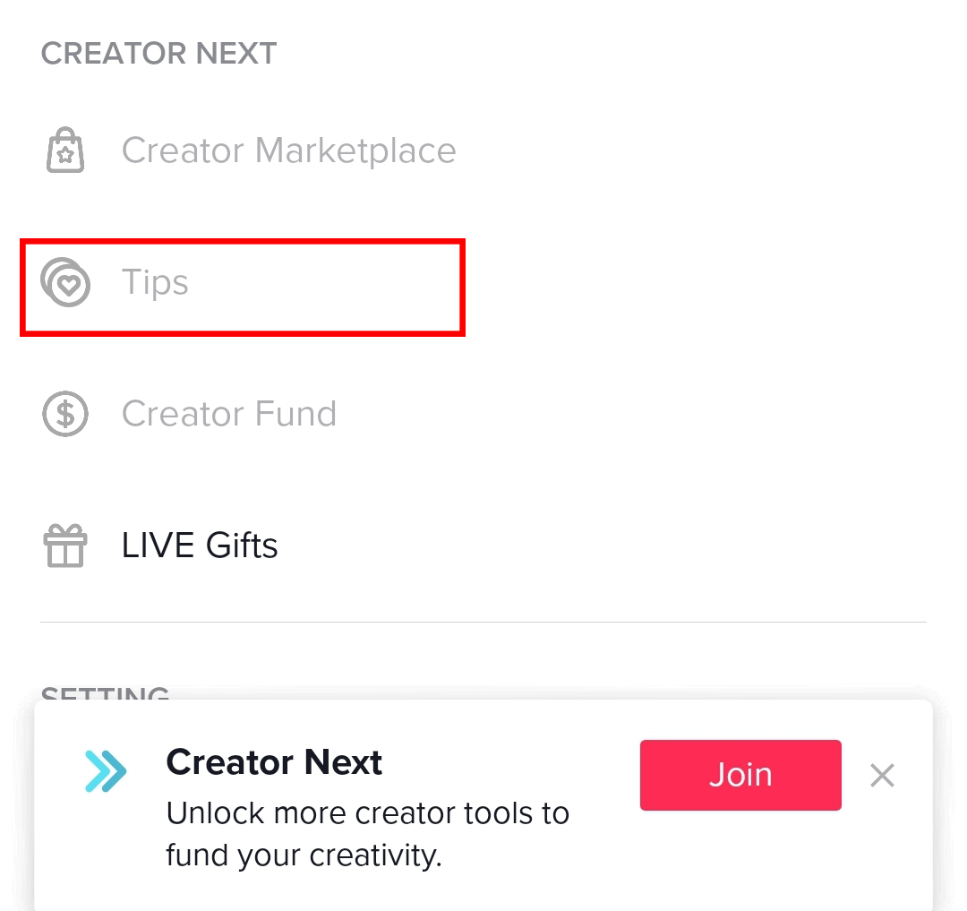 How To Make Money On Tiktok As A Creator [step By Step]