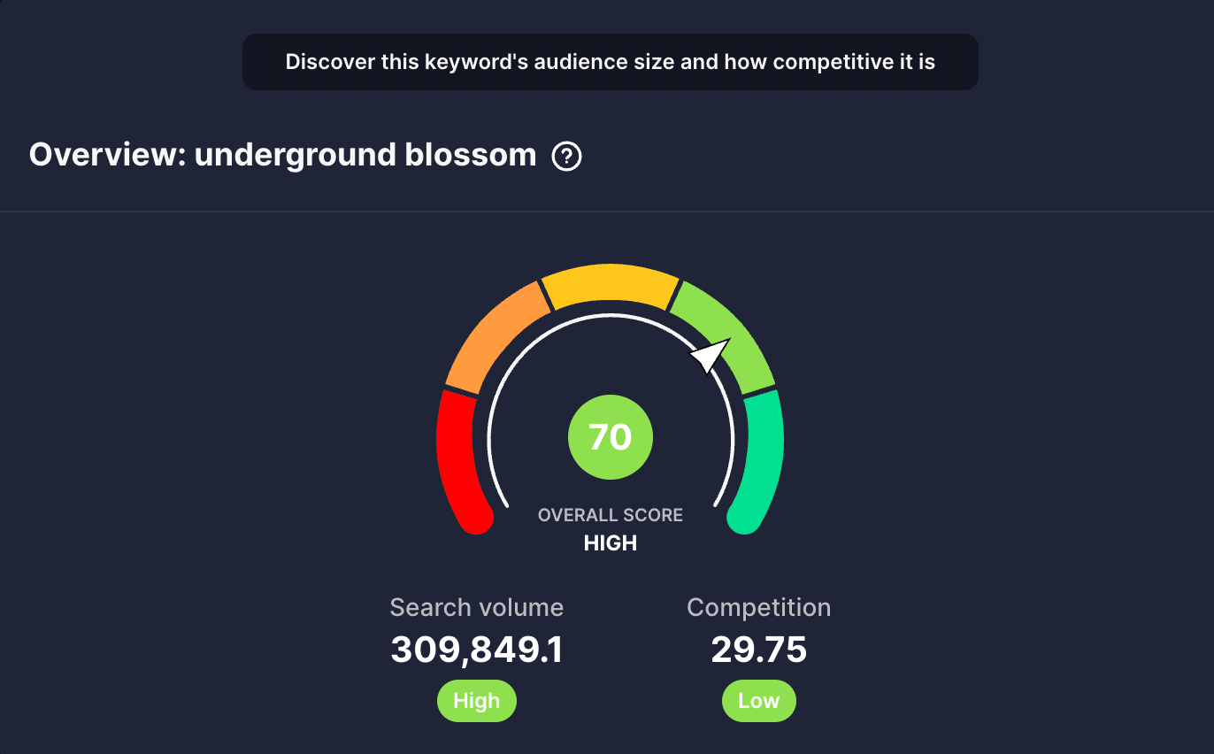 vidIQ shows a keyword score of 70 for the topic underground blossom