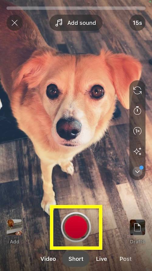 Red record button on YouTube Shorts player