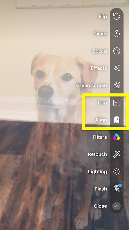 trim and align options on YouTube shorts player