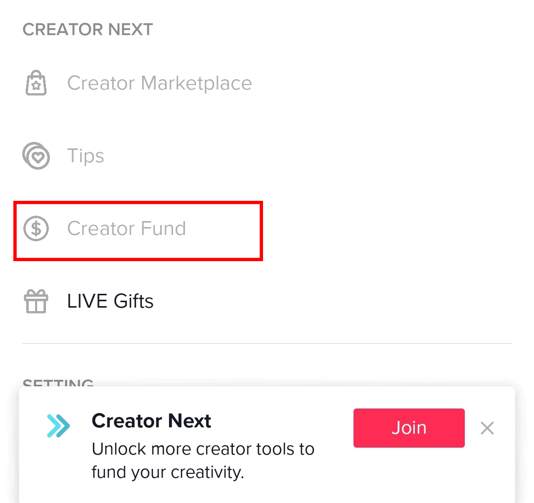 How to Make Money on TikTok as a Creator [Step by Step]