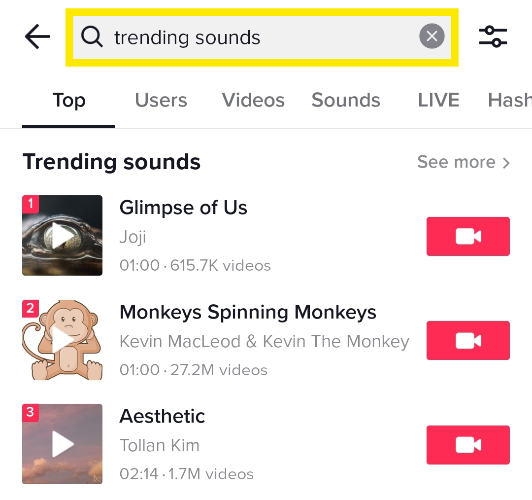 How to Find and Use TikTok Sounds