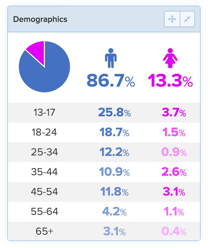 Demographics pie chart and table showing male 86.7% and female 13.3% age group distribution.