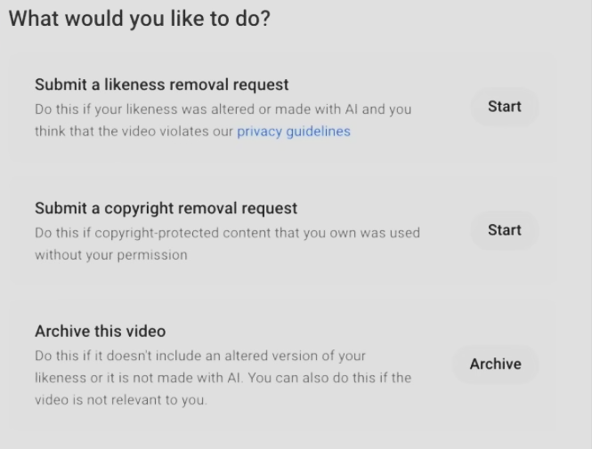 Filing a Removal Request for likeness detection on YouTube