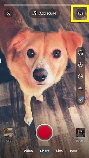 Timer on YouTube Shorts player