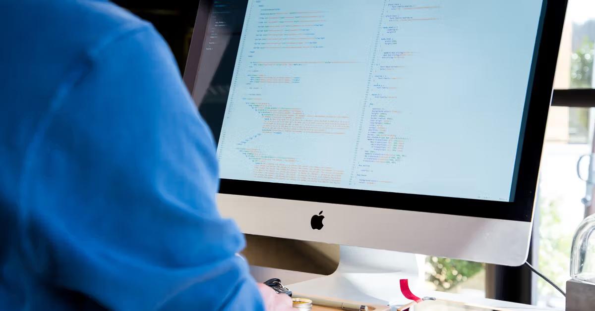 Citizen Developer vs Professional Developer [Definitive Comparison]