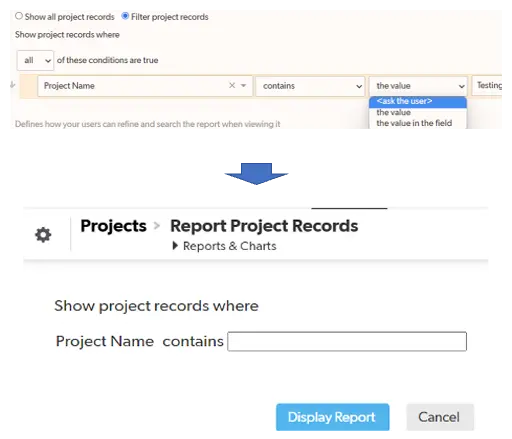 Report Project Record