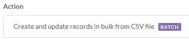 a screen shot of a web page with the text create and update records in bulk