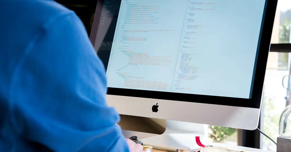Citizen vs. Professional Developer [Comparison Guide]-post-image